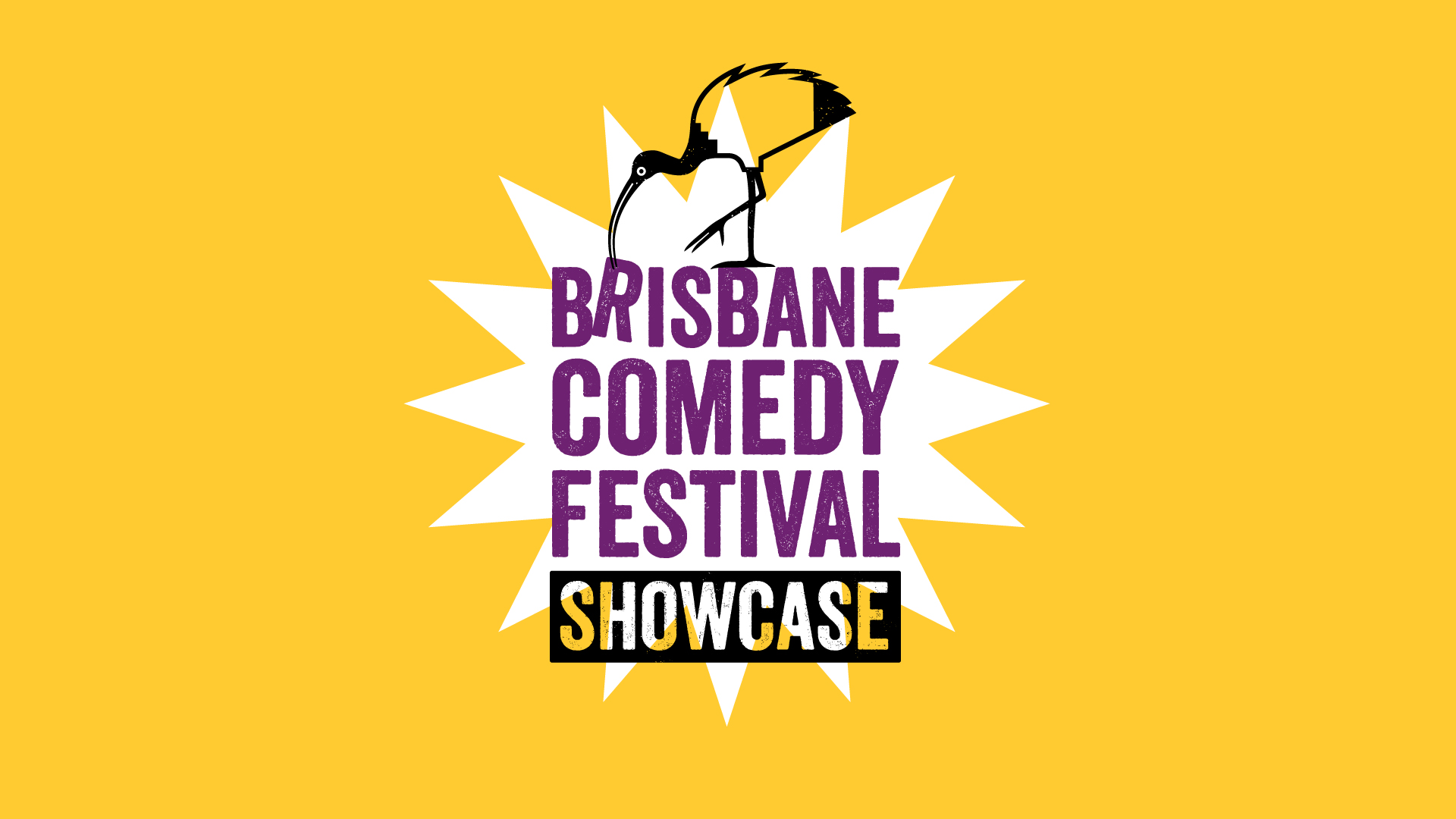 Brisbane Comedy Festival Showcase